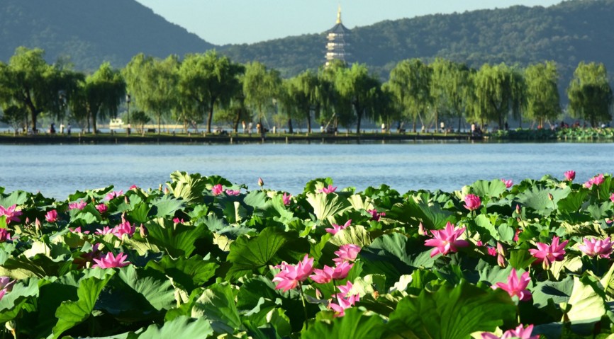 杭州旅游攻略：带你泛舟西湖！