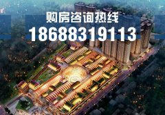 杭州余杭金地广场的房子能涨价吗？