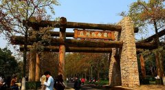 杭州旅游攻略：杭州植物园